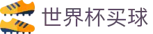 FIFA 2026世界杯买球官方官网首页 | 安全加密通道